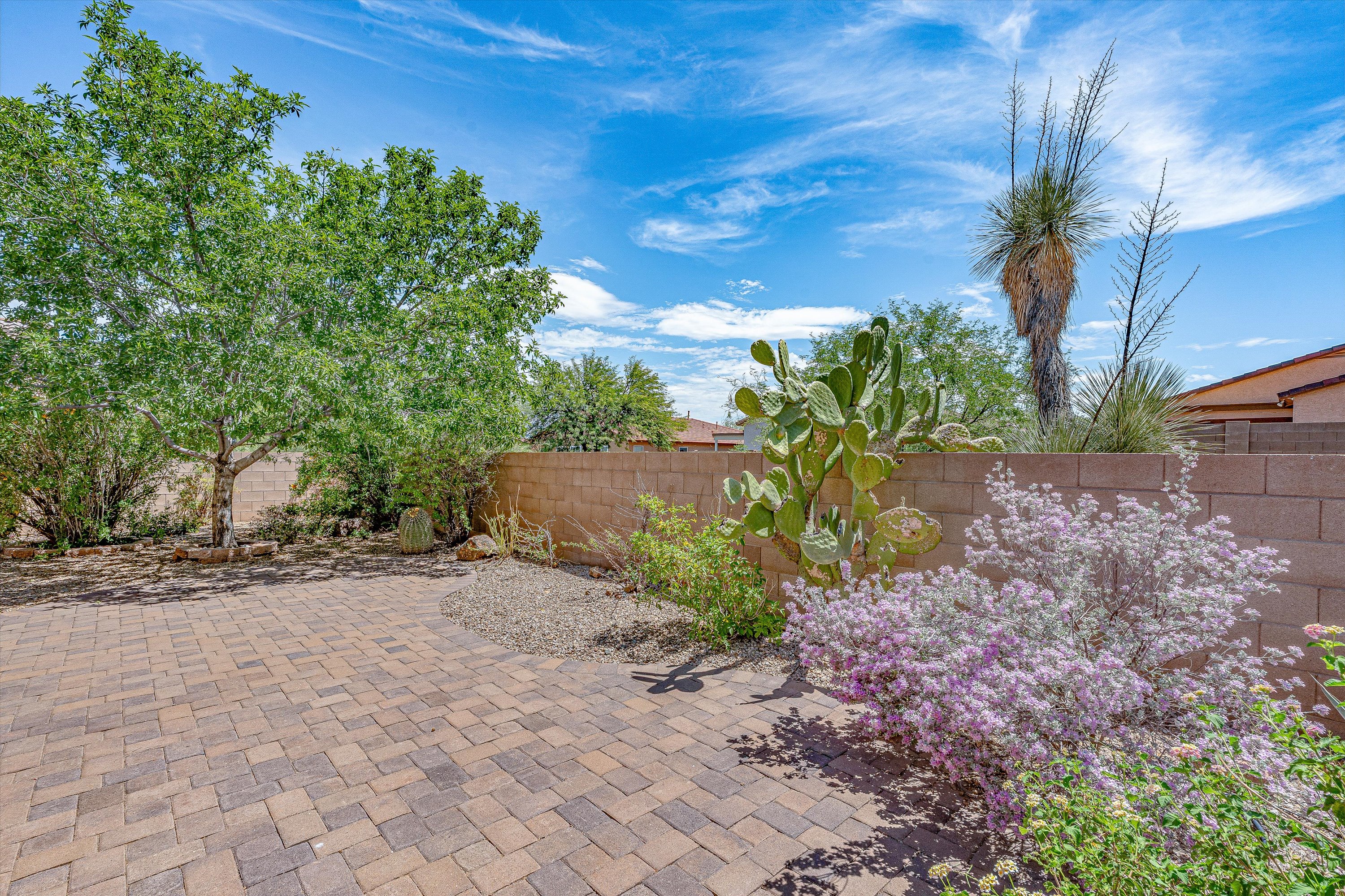 Backyard at 513 S Stone Bench Road in Corona de Tucson with natural wash buffer and neighboring homes beyond