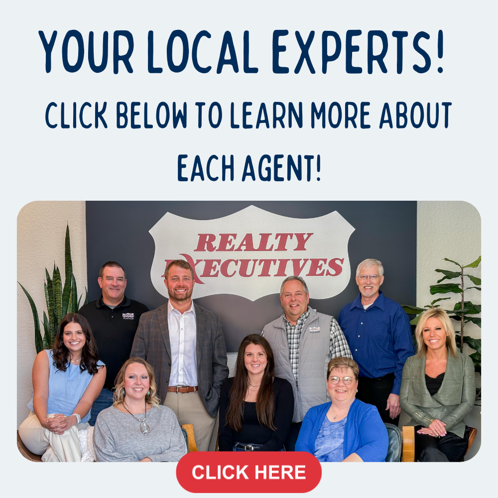 Realty Executives RE Platinum Watertown Real Estate