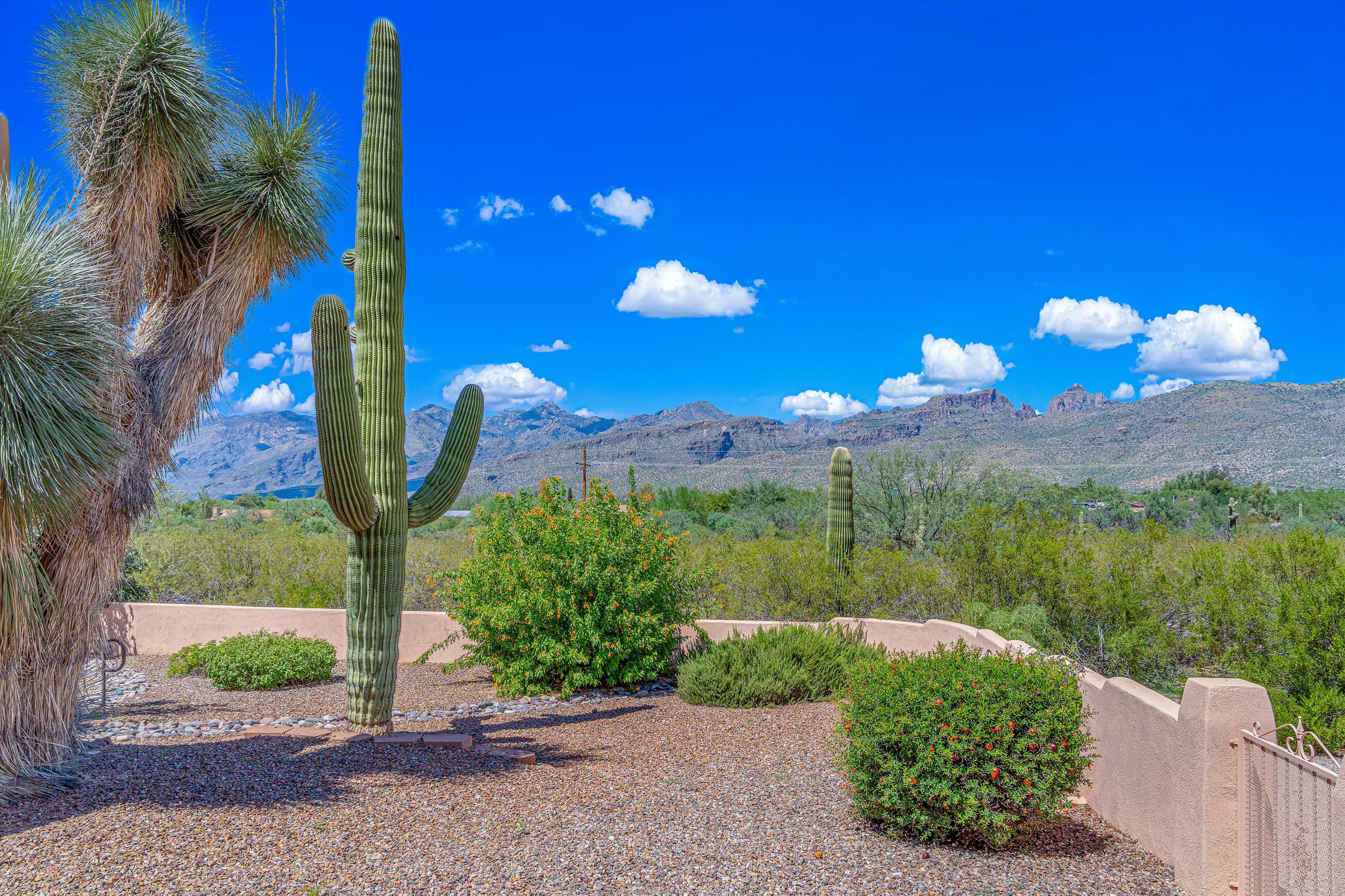 : Natural desert surroundings provide a peaceful setting to return to after your adventures.