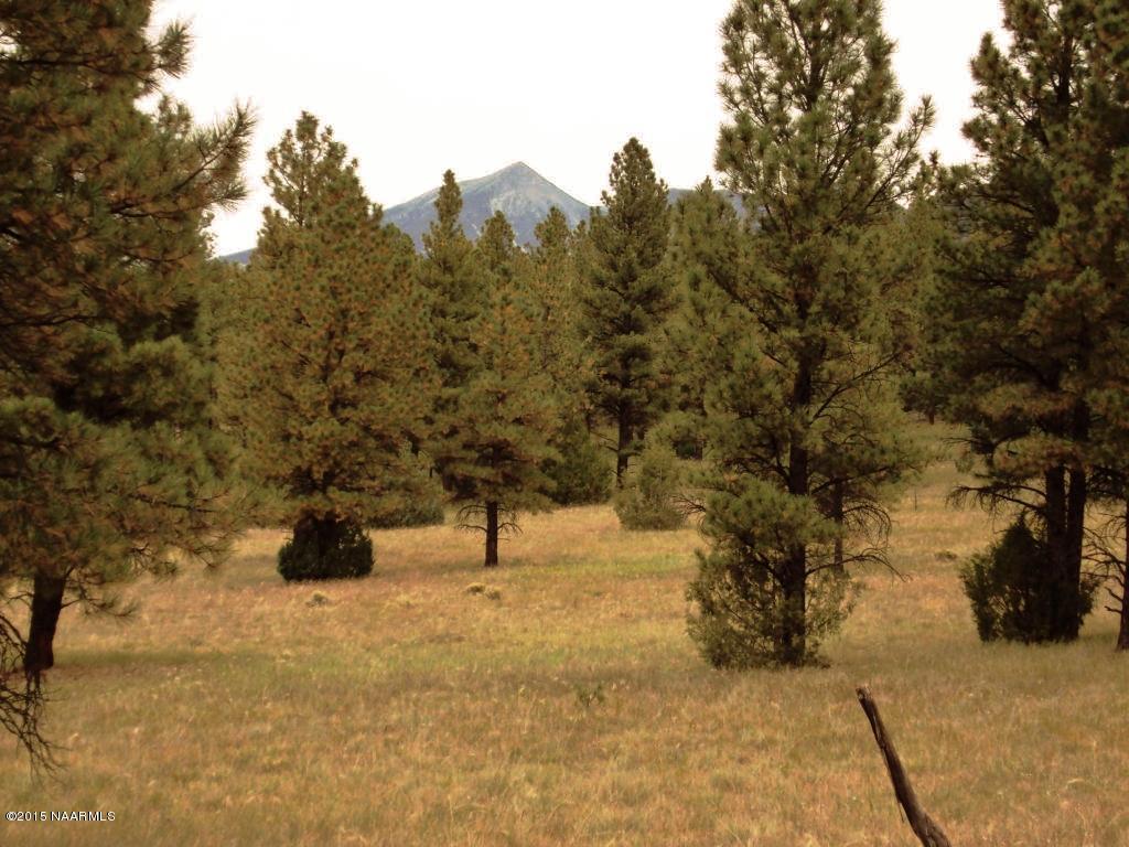 3252 N. Chickadee Trail