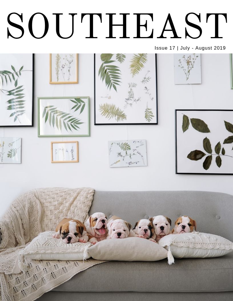 Click the magazine to read all about it! 