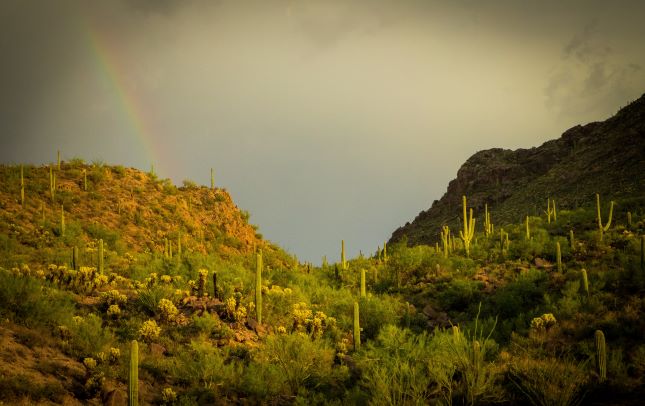 Gates Pass Monsoon Rainbow