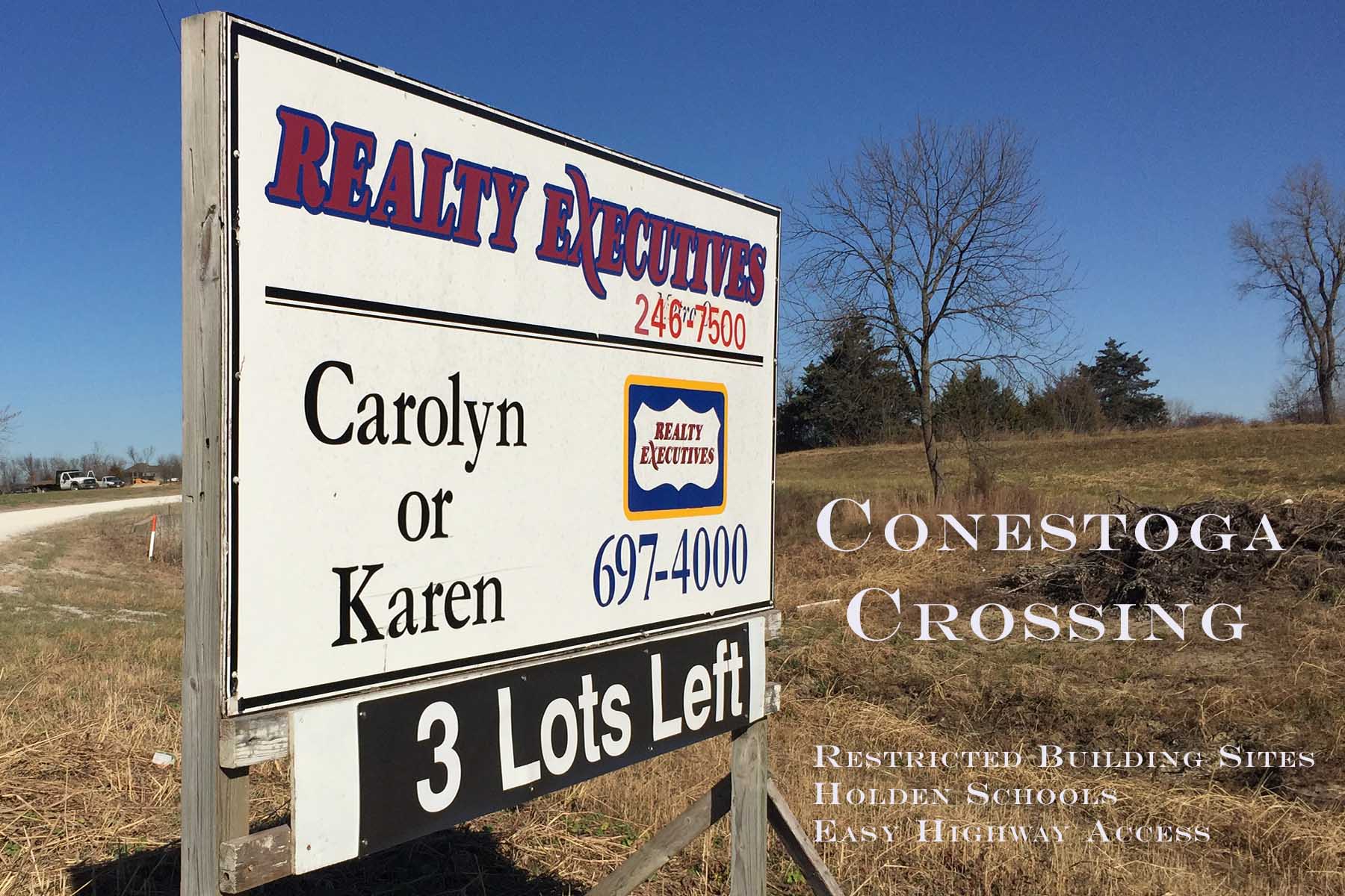 Lone Jack Real Estate