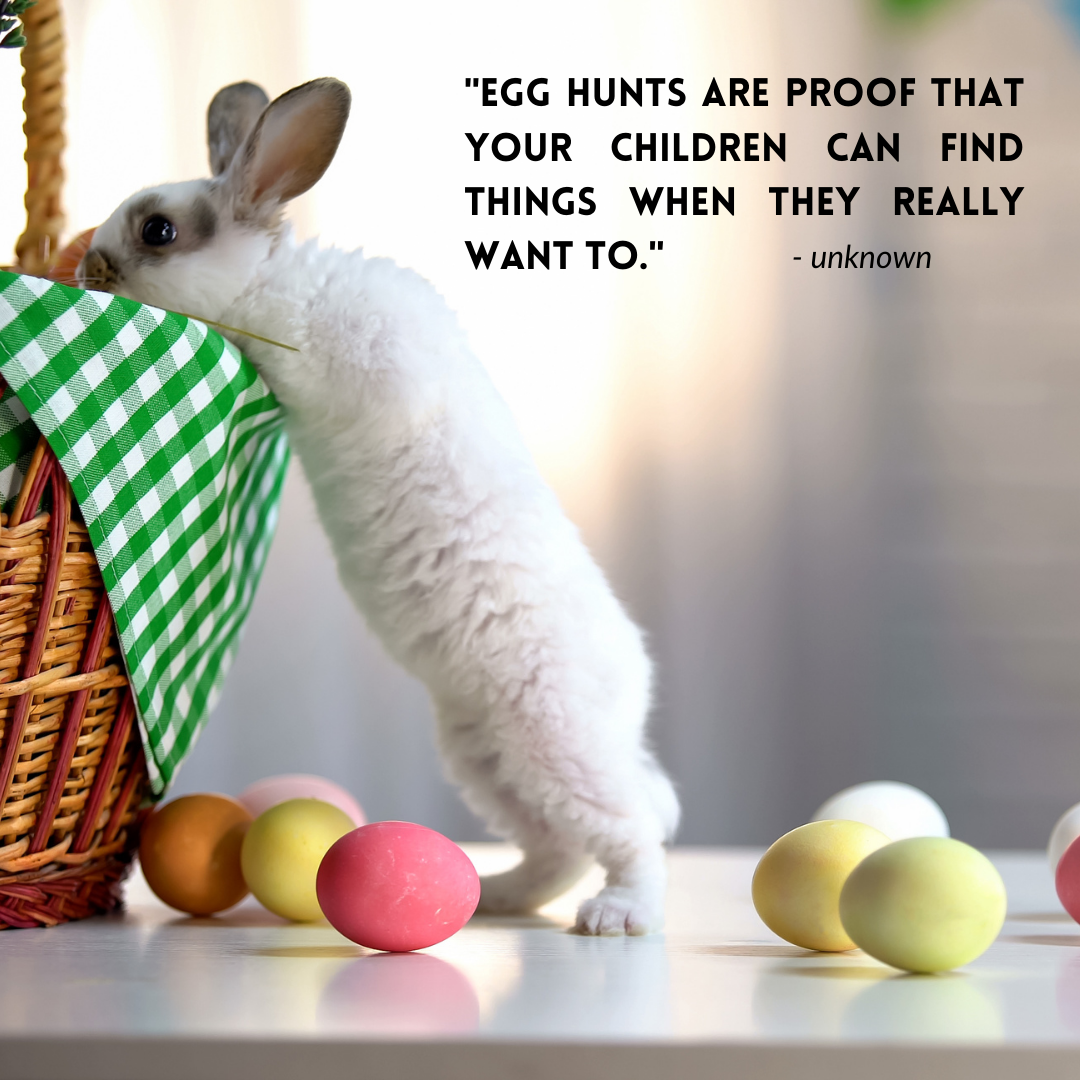 Hilary Betley adspaceTR