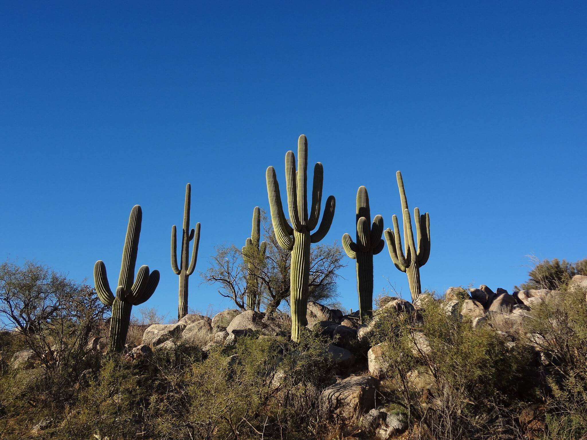 Tucson Relocation Guide