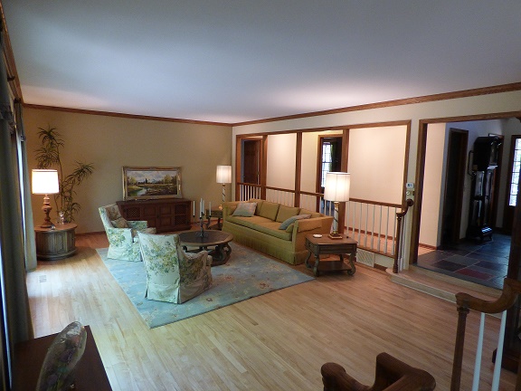 Large Living Room and Dining Room 